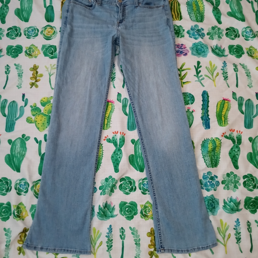 Hollister Low Rise Boot Jean